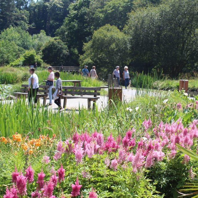 Botanic garden